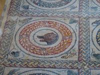 Mosaik Bär &ndash; &copy; Sabine Letzybyll (Eberhardt TRAVEL)