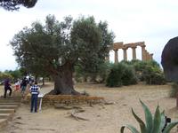 &copy; Petra Scherbaum (Eberhardt TRAVEL)