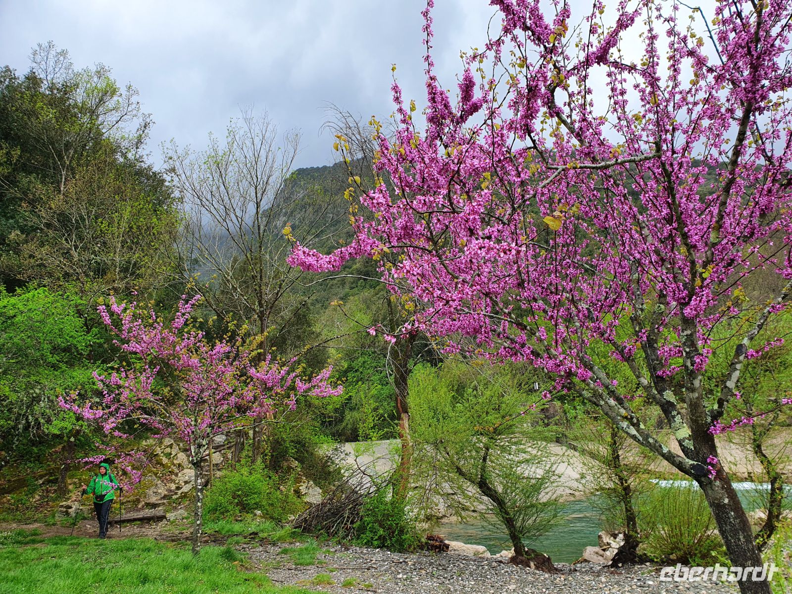 Caloreschlucht &ndash; &copy; Ria Heilmann (Eberhardt TRAVEL)