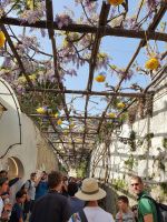 Positano &ndash; &copy; Ria Heilmann (Eberhardt TRAVEL)