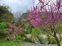 Caloreschlucht &ndash; &copy; Ria Heilmann (Eberhardt TRAVEL)