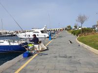 Hafen in Acciaroli &ndash; &copy; Ria Heilmann (Eberhardt TRAVEL)