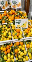 Frisch und fruchtig &ndash; &copy; Anne Schröder (Eberhardt TRAVEL)