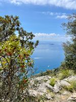 Mediterrane Flora &ndash; &copy; Anne Schröder (Eberhardt TRAVEL)