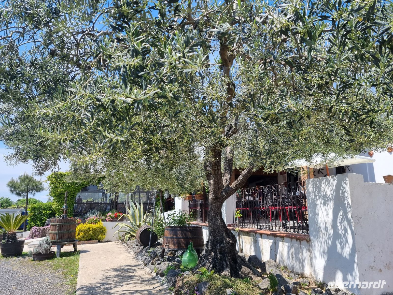 Cantina (Weingut) del Vesuvio &ndash; &copy; Katrin Deutschbein (Eberhardt TRAVEL)