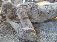 Pompeji (Gipsabdruck...) &ndash; &copy; Katrin Deutschbein (Eberhardt TRAVEL)