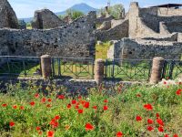 Pompeji  &ndash; &copy; Katrin Deutschbein (Eberhardt TRAVEL)