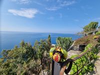 Amalfiküste  &ndash; &copy; Katrin Deutschbein (Eberhardt TRAVEL)