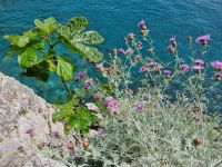 Positano &ndash; &copy; Katrin Deutschbein (Eberhardt TRAVEL)