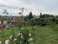 Rosengarten &ndash; &copy; Patrick Fritzsche (Eberhardt TRAVEL)
