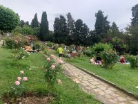 Rosengarten &ndash; &copy; Patrick Fritzsche (Eberhardt TRAVEL)