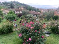 Rosengarten &ndash; &copy; Patrick Fritzsche (Eberhardt TRAVEL)