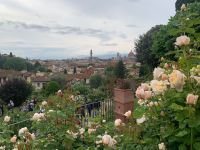 Rosengarten &ndash; &copy; Patrick Fritzsche (Eberhardt TRAVEL)