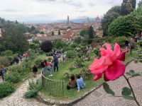 Rosengarten &ndash; &copy; Patrick Fritzsche (Eberhardt TRAVEL)