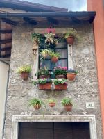 in Riva