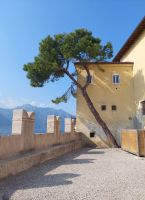 Detail  &ndash; &copy; Mathias Schirmer (Eberhardt TRAVEL)