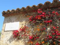 010 San Pantaleo.JPG &ndash; &copy; Kathrin Mickan (Eberhardt TRAVEL)