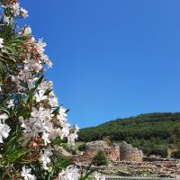 178 Nuraghe Palmavera.jpg &ndash; &copy; Kathrin Mickan (Eberhardt TRAVEL)