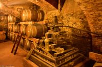 Piemont - Weingut 