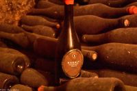 Piemont - Weingut 