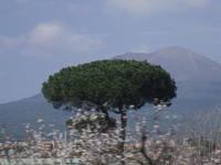 Vesuv &ndash; &copy; Katrin Deutschbein (Eberhardt TRAVEL)