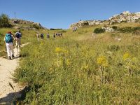 Basilikata, Wanderung Matera &ndash; &copy; Ria Heilmann (Eberhardt TRAVEL)