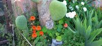 Impressionen &ndash; &copy; Betina Marinov (Eberhardt TRAVEL)