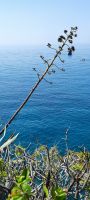 20220518 112535 &ndash; &copy; Betina Marinov (Eberhardt TRAVEL)