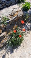 20220519 104412 - Kopie &ndash; &copy; Betina Marinov (Eberhardt TRAVEL)