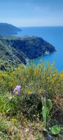 20220519 113320 - Kopie &ndash; &copy; Betina Marinov (Eberhardt TRAVEL)