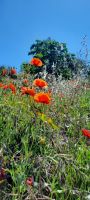 20220519 120847 - Kopie &ndash; &copy; Betina Marinov (Eberhardt TRAVEL)