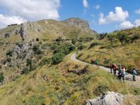 schon wieder eine Pflanzen-Pause &ndash; &copy; Andrej Kulikov (Eberhardt TRAVEL)