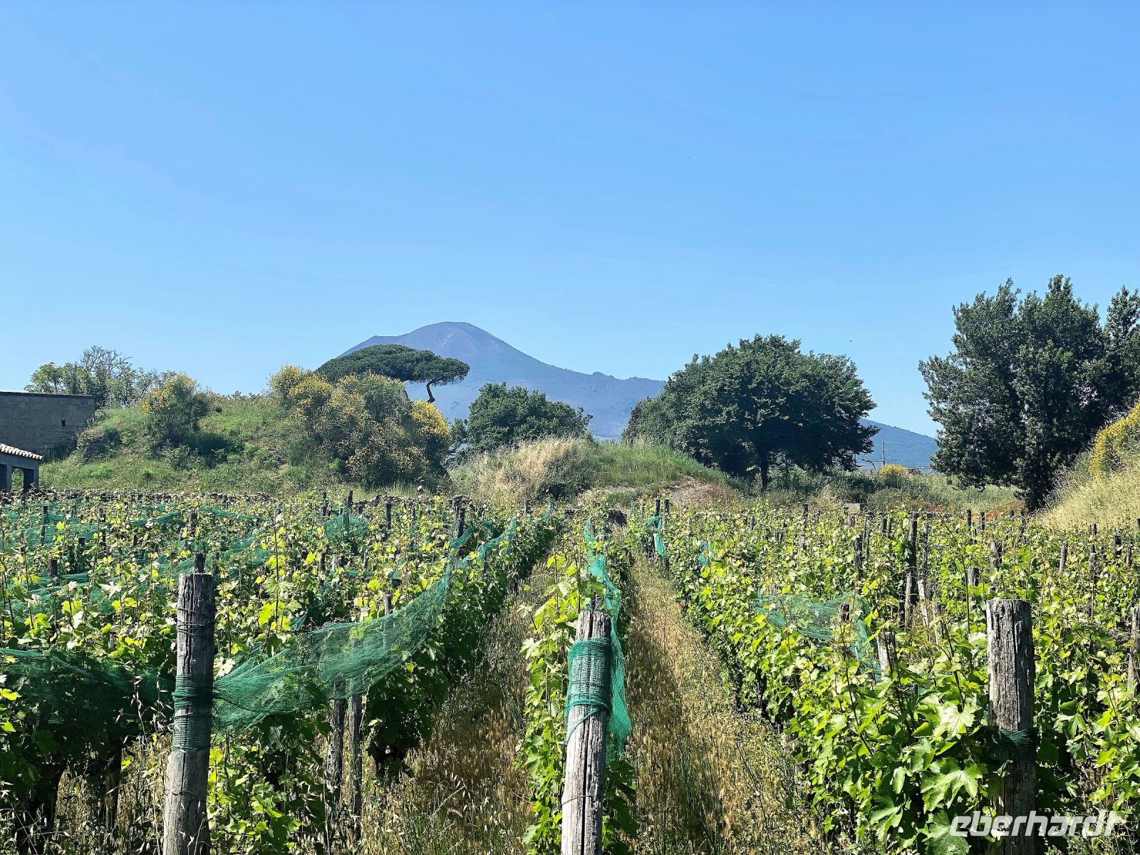 Tag 4 - Vesuv in der Ferne.jpg &ndash; &copy; Christin Kuschka (Eberhardt TRAVEL)