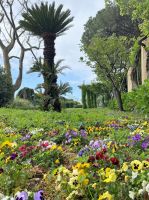 Tag 2 - Garten der Villa Cimbrone.jpg &ndash; &copy; Christin Kuschka (Eberhardt TRAVEL)
