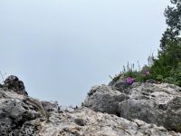 Tag 3 - Ohne Aussicht.jpg &ndash; &copy; Christin Kuschka (Eberhardt TRAVEL)
