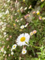Tag 5 - Flora.jpg &ndash; &copy; Christin Kuschka (Eberhardt TRAVEL)