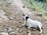 Tag 6 - Wegbegleiter.jpg &ndash; &copy; Christin Kuschka (Eberhardt TRAVEL)