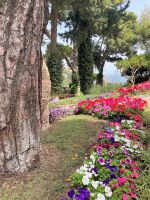 Tag 6 - Giardini Augusto.jpg &ndash; &copy; Christin Kuschka (Eberhardt TRAVEL)