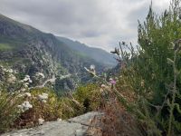 Col de Teghime &ndash; &copy; Sinah Witzig (Eberhardt TRAVEL)
