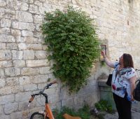 Guide Anna erklärt &ndash; &copy; Georg Berger (Eberhardt TRAVEL)