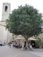 San Gimignano 05 &ndash; &copy; Georg Berger (Eberhardt TRAVEL)