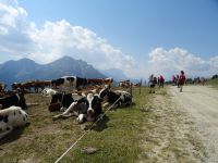 DSC00271 &ndash; &copy; Doreen Päßler (Eberhardt TRAVEL)