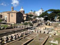 027 Forum Romanum &ndash; &copy; Patrick Fritzsche (Eberhardt TRAVEL)