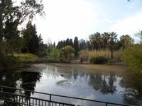 Papyrossee &ndash; &copy; Barbara Werrmann (Eberhardt TRAVEL)