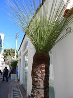 Fotografin: Esther Kohl &ndash; &copy; Uwe Lorenz (Eberhardt TRAVEL)