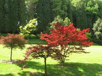 Park Sigurta