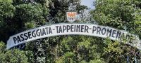 Pappeiner Weg &ndash; &copy; Betina Marinow (Eberhardt TRAVEL)