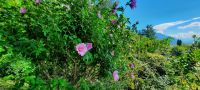 am Pappeiner Weg &ndash; &copy; Betina Marinow (Eberhardt TRAVEL)