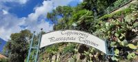 Pappeiner Weg mit Feigenkaktus &ndash; &copy; Betina Marinow (Eberhardt TRAVEL)