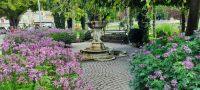 Meran &ndash; &copy; Betina Marinow (Eberhardt TRAVEL)